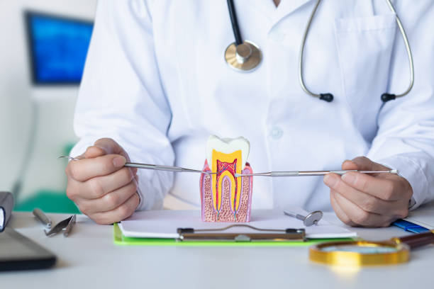 Best Emergency Care for Gum Disease in Trenton, GA